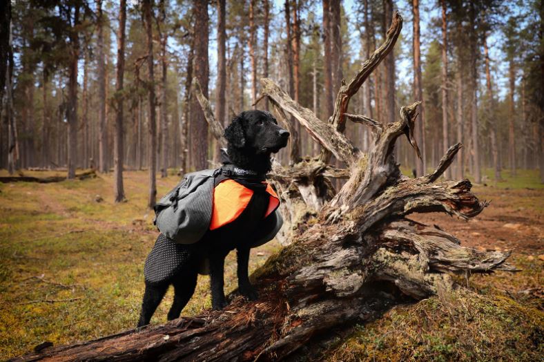 Non-stop Dogwear Amundsen Kløvtaske - Image 2