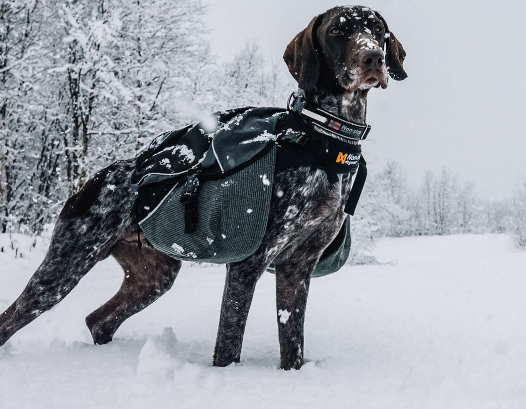 Non-stop Dogwear Amundsen Kløvtaske - Image 3
