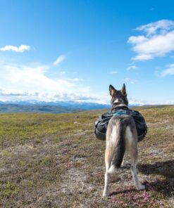 Non-stop Dogwear Amundsen Kløvtaske - Image 5