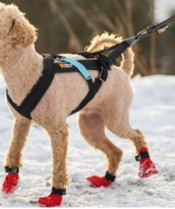 Non-stop Dogwear Freemotion - Image 12