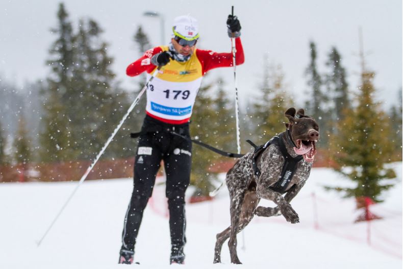 Non-stop Dogwear Freemotion - Image 14