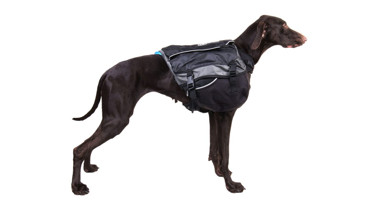 Non-stop Dogwear Amundsen Kløvtaske - Image 10