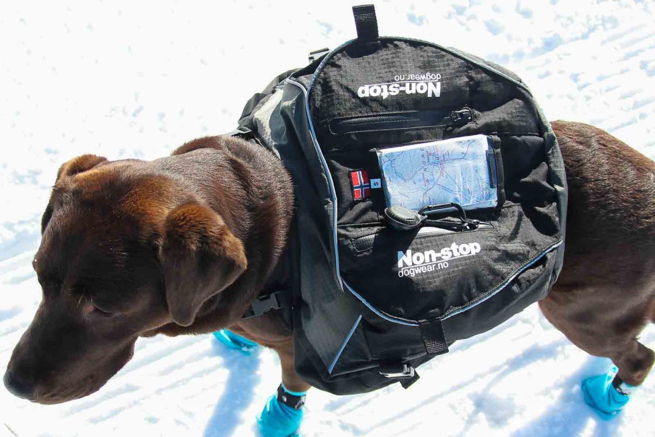Non-stop Dogwear Amundsen Kløvtaske - Image 15