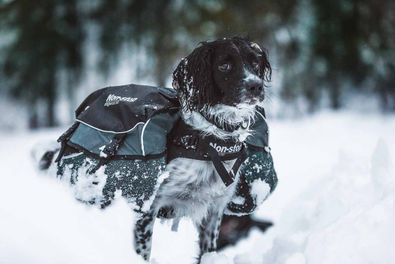 Non-stop Dogwear Amundsen Kløvtaske - Image 4