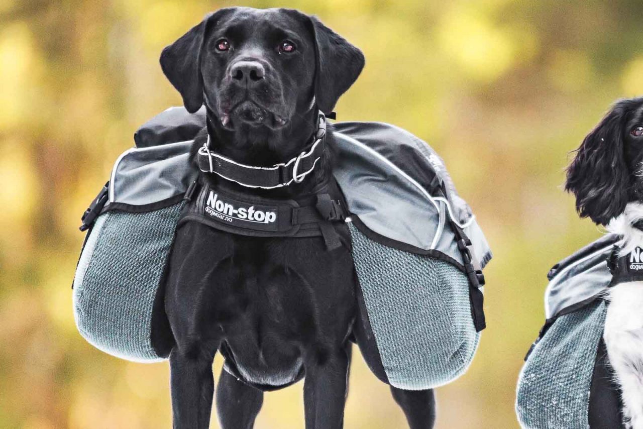 Non-stop Dogwear Amundsen Kløvtaske - Image 6