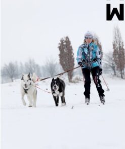 ManMat Ski/Cykel/Løbe line 2 hunde - Image 5