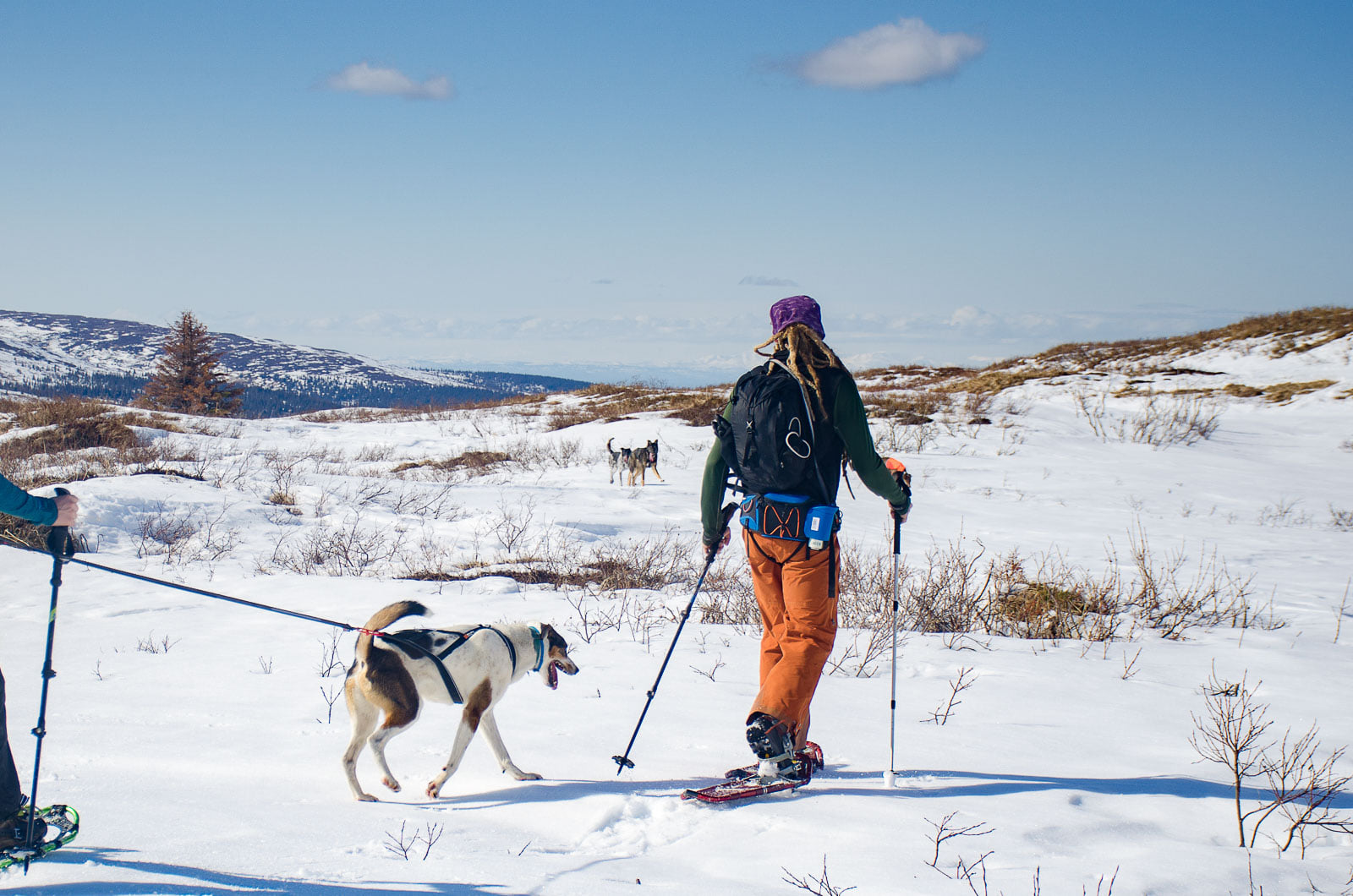 Non-stop Dogwear Nansen Nome 5.0 - Image 3