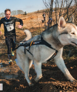 Alternative view of Non-stop Dogwear Freemotion