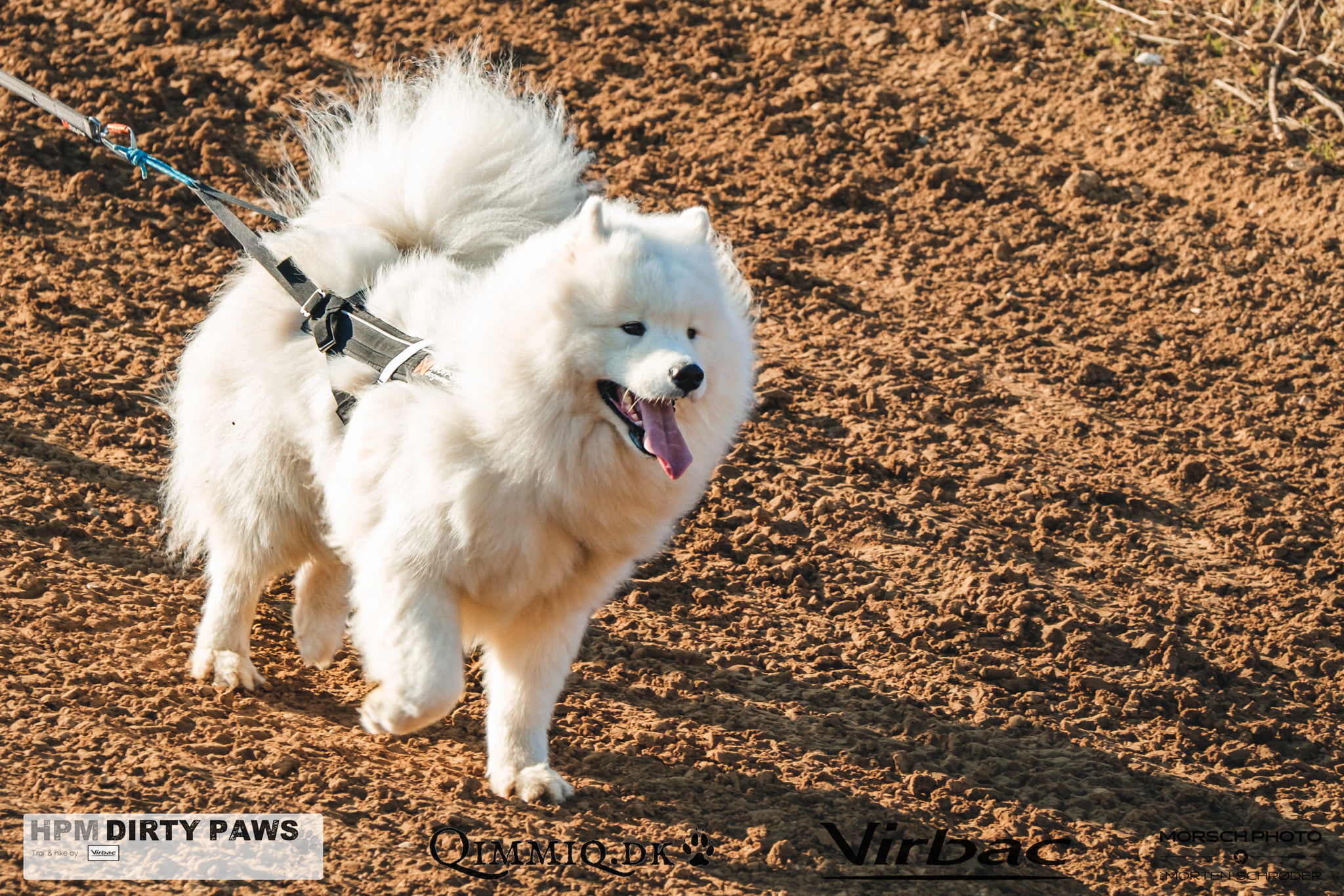 Non-stop Dogwear Freemotion - Image 8