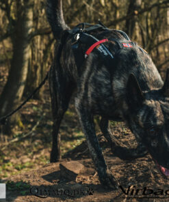 Non-stop Dogwear Freemotion - Image 6