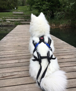 Non-stop Dogwear Freemotion - Image 7