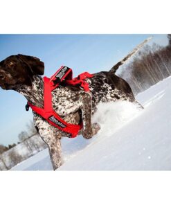 Non-stop Dogwear Combined - Image 3