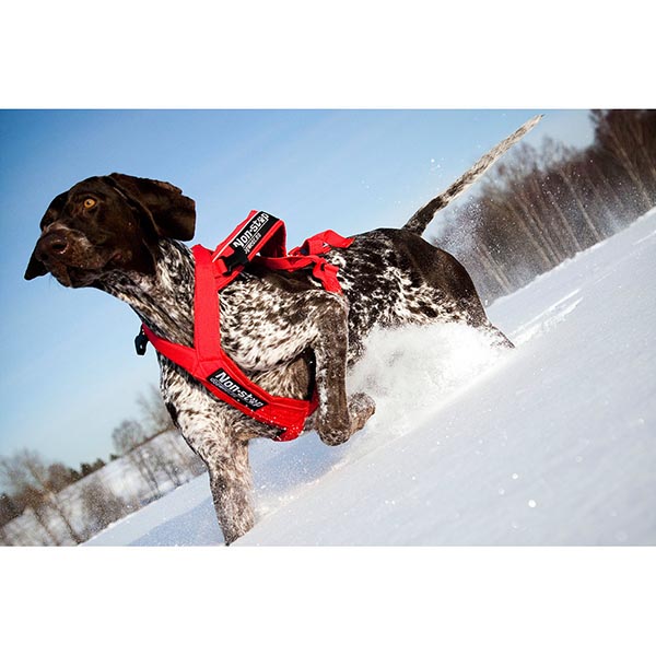 Non-stop Dogwear Combined - Image 3