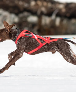 Alternative view of Non-stop Dogwear Combined