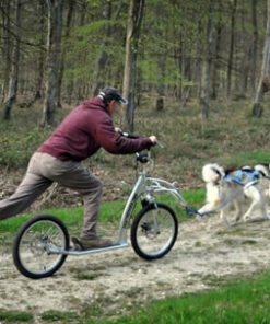 Alternative view of Intro Kickbike Kursus