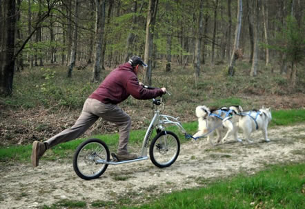 Intro Kickbike Kursus - Image 2