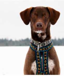 ManMat Hound - Image 8