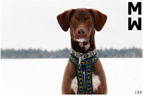 ManMat Hound - Image 8