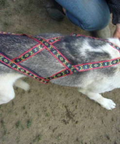 ManMat Hound - Image 3