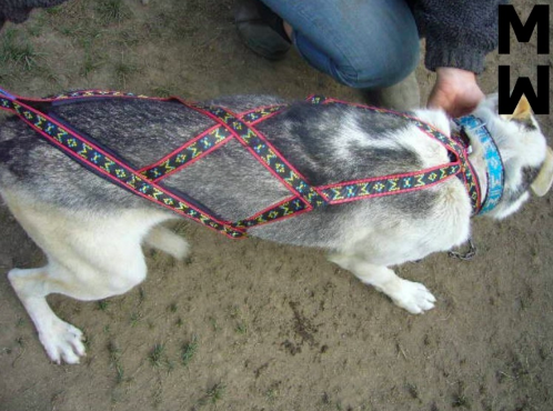 ManMat Hound - Image 3