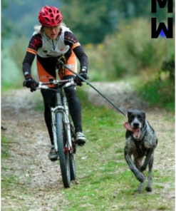 ManMat Hound - Image 10