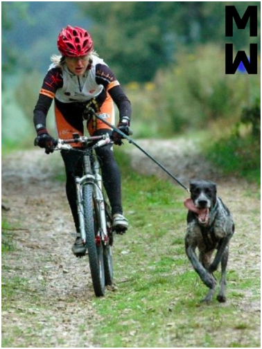 ManMat Hound - Image 10
