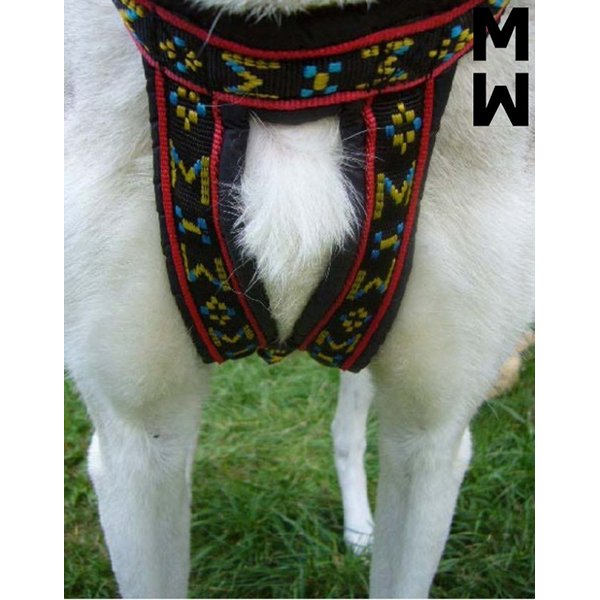 ManMat Hound - Image 4