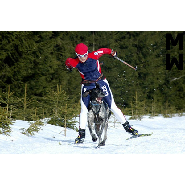 ManMat Hound - Image 11