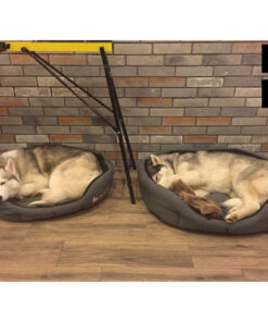Hundekurve