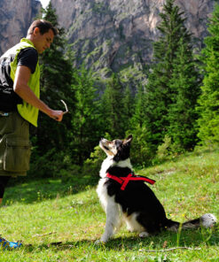 Neewa Utility Harness - Image 4