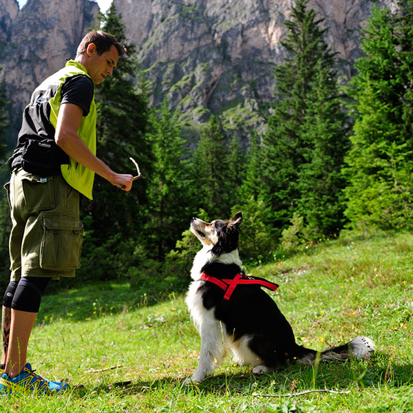 Neewa Utility Harness - Image 4