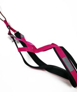 Neewa Sled Pro X-back