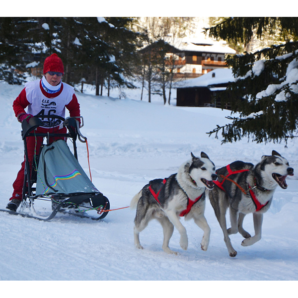 Neewa Sled Pro X-back - Image 4