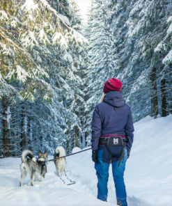 Non-stop Dogwear Trekking Belt - Image 11
