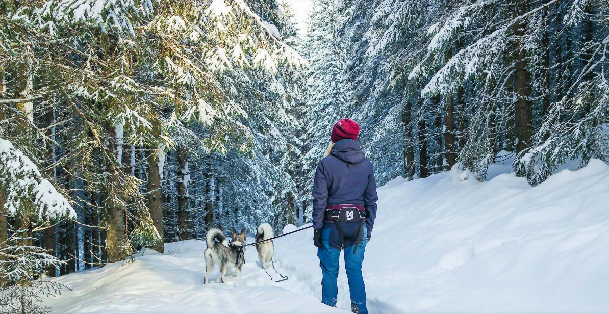 Non-stop Dogwear Trekking Belt - Image 11