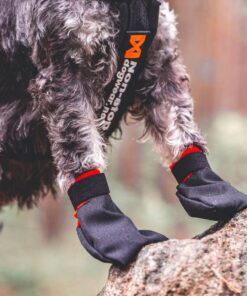 Alternative view of Non-stop Dogwear Solid Potesokker