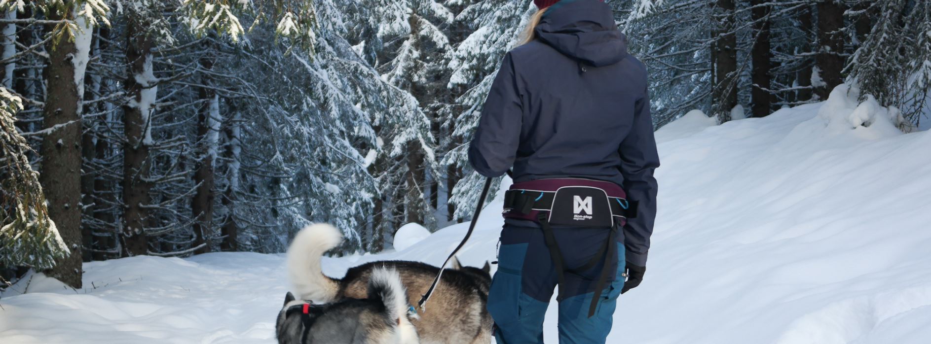 Non-stop Dogwear Trekking Belt - Image 10