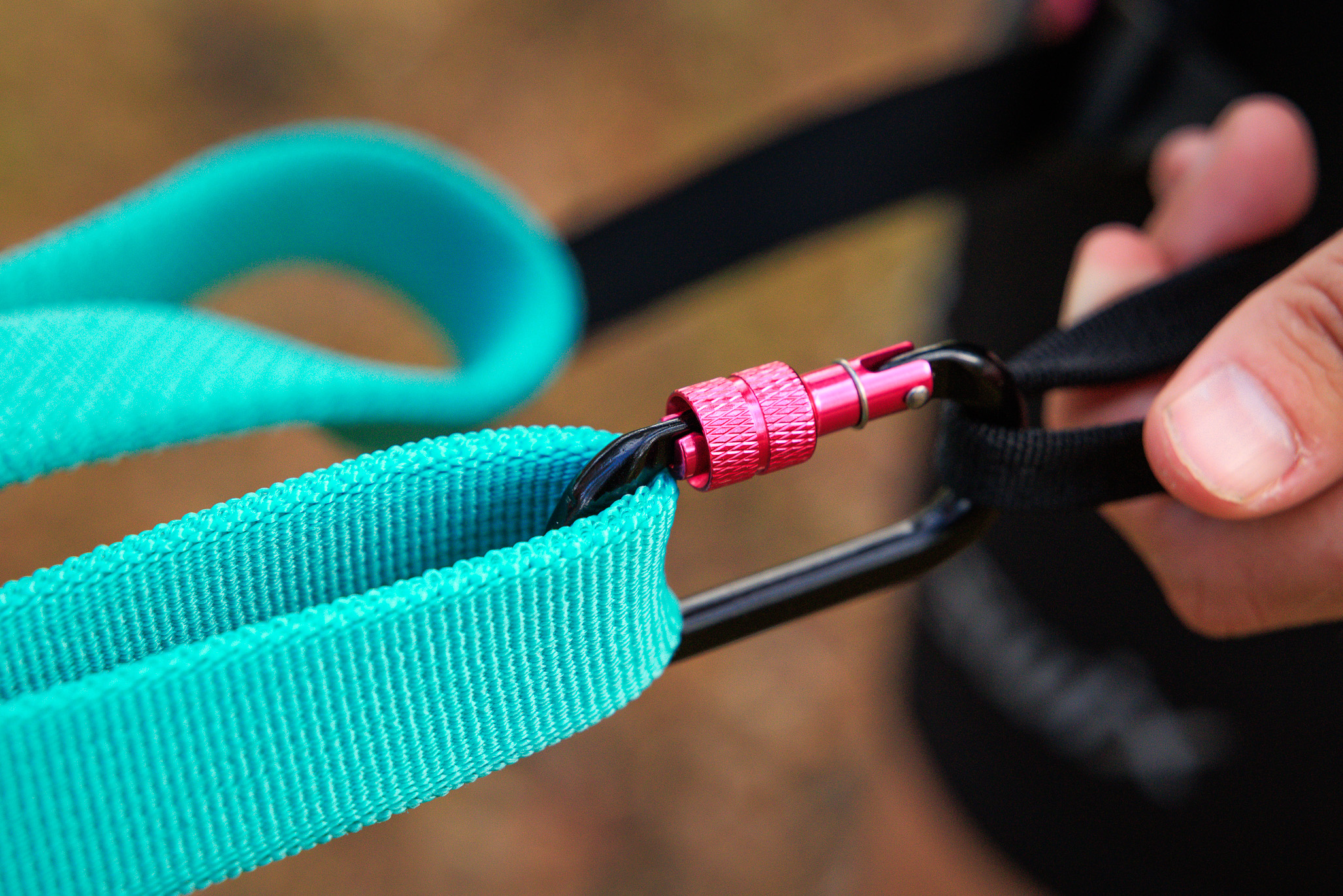 Non-stop Dogwear Bungee Leash - Image 12