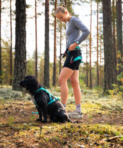 Alternative view of Non-stop dogwear CaniX belt 2.0 aqua