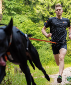 Non-stop Dogwear Bungee Leash - Image 4