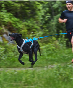 Non-stop Dogwear Bungee Leash - Image 5