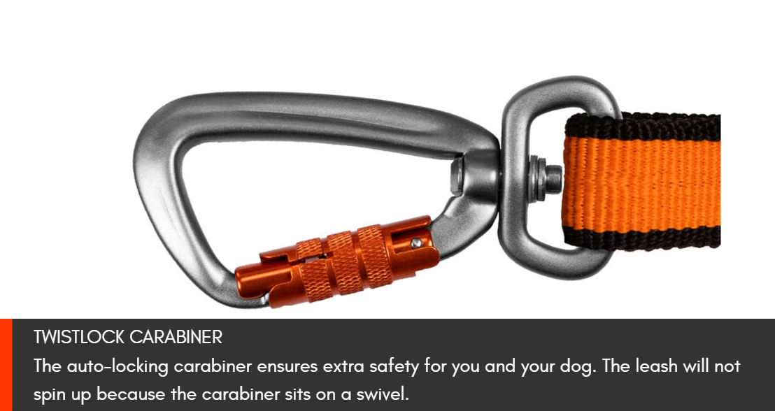 Non-stop Dogwear Bungee Leash - Image 11