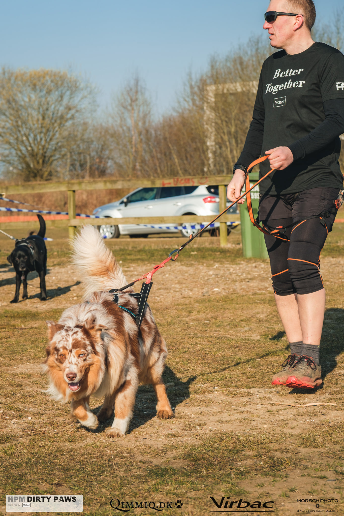 Non-stop Dogwear Bungee Leash - Image 7