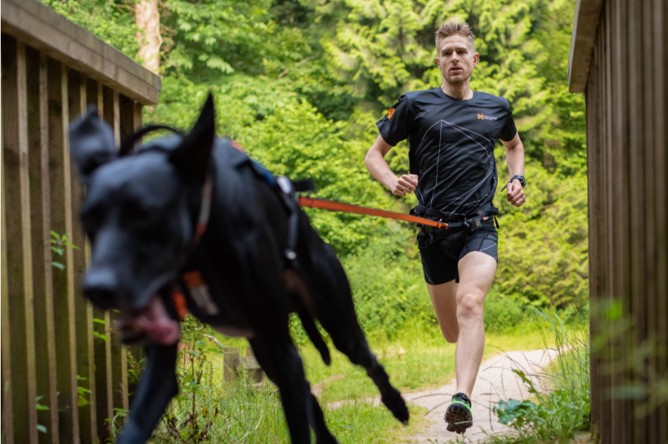 Non-stop Dogwear Bungee Leash - Image 4