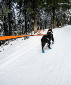 Non-stop Dogwear Bungee Leash - Image 8