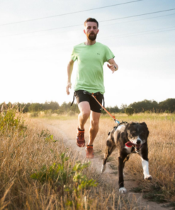 Non-stop Dogwear Bungee Leash - Image 9
