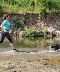 Non-stop Dogwear Bungee Leash - Image 6