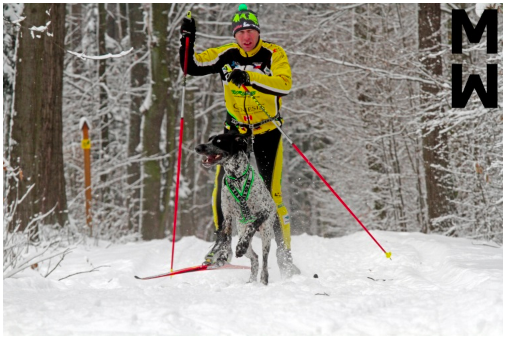 ManMat Canicross Løbebælte Limited Edition - Image 18