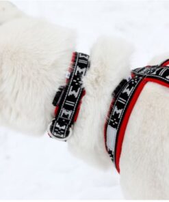 ManMat X-back Limited Edition - Image 13