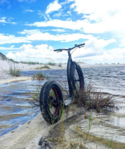 Kickbike FAT MAX - Image 16